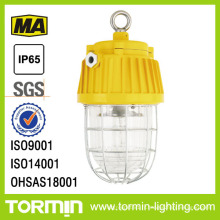 Mine-Tunnel Light/Mining Lamp/Explosion Proof Tunnel lampe Dgs70/127 b (E)